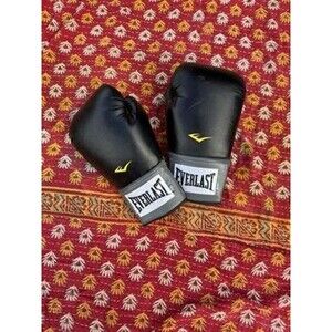 Everlast Pro Style Training Boxing Gloves - Black/Grey 16oz Hook & Loop